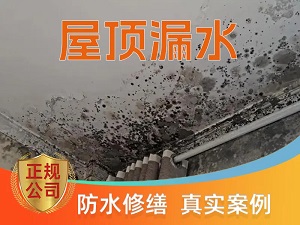 娄星阳台渗水维修之阳台洗衣机底座积水渗漏推荐哪家，推荐一根钉修缮